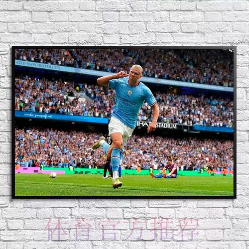 本届世界杯荷兰哈兰德赛程分析全解析